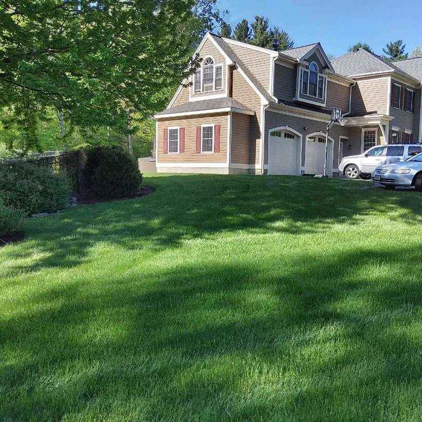 work photo from freshlawncare.com