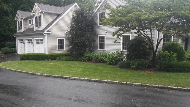 Landscape design