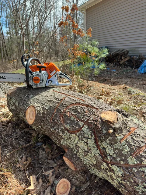 work photo from treeguysinc.com