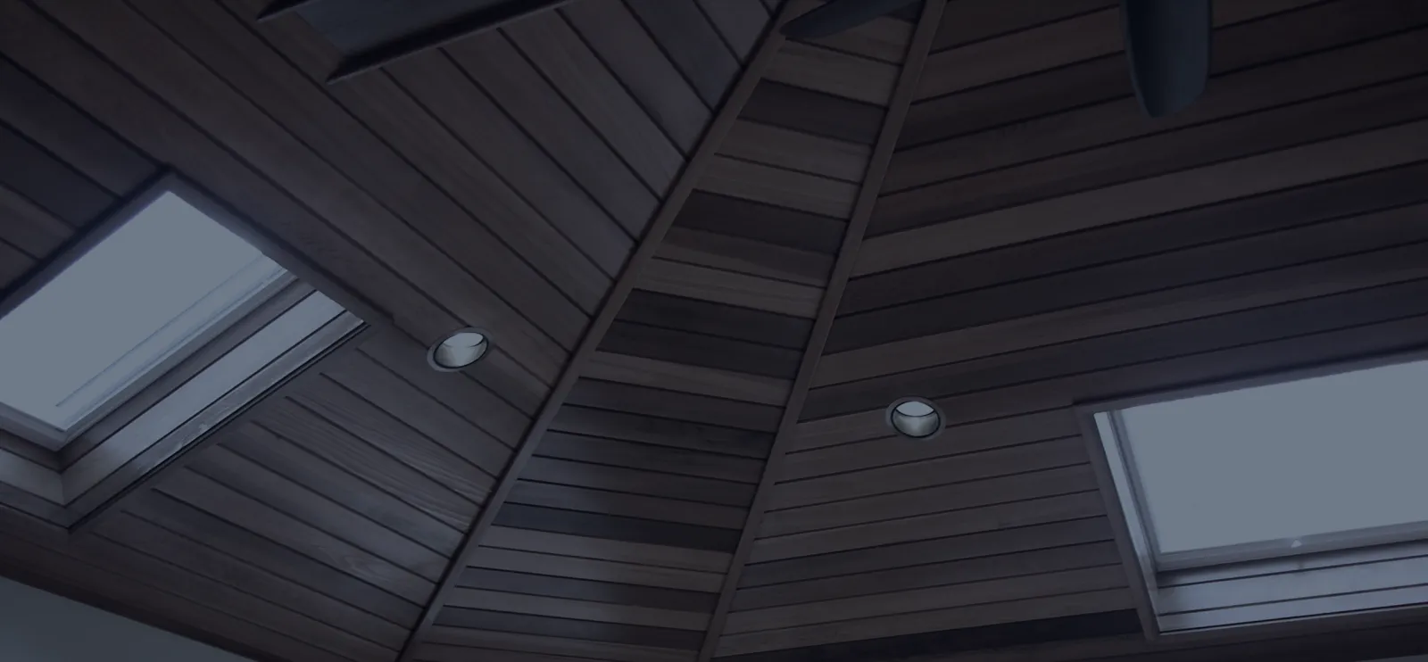 header.png