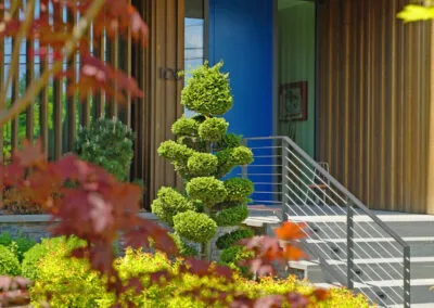 work photo from apexhorticulturedesign.com