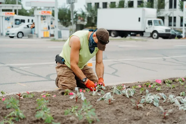 Professional landscaper planting flowers and enhancing garden spaces with locally sourced plants in Vermont.