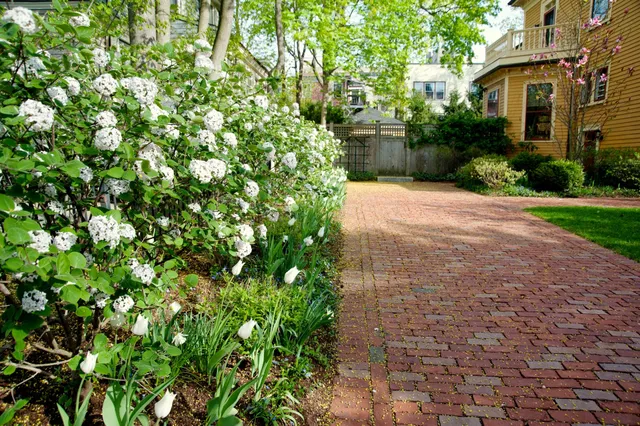 Jean Brooks Landscapes work photo