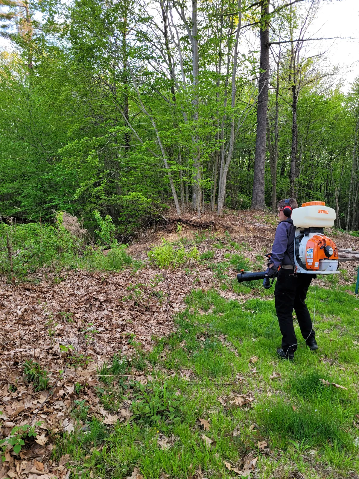 work photo from Google listing