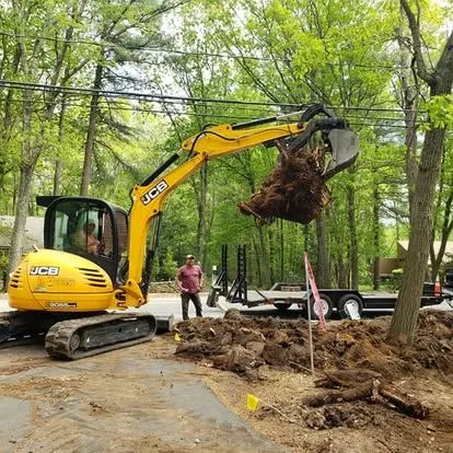 Yellow JCB excavator lifting a tree stump beside a trailer in a wooded roadside worksite