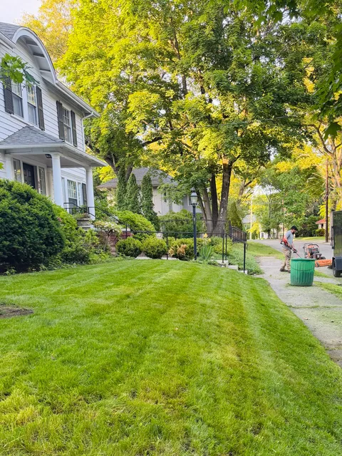 Vasquez Landscaping Services