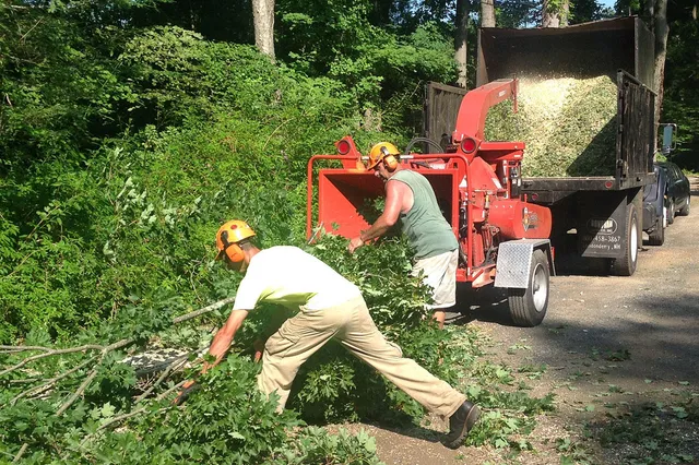 Landmark Landscaping & Tree Service work photo