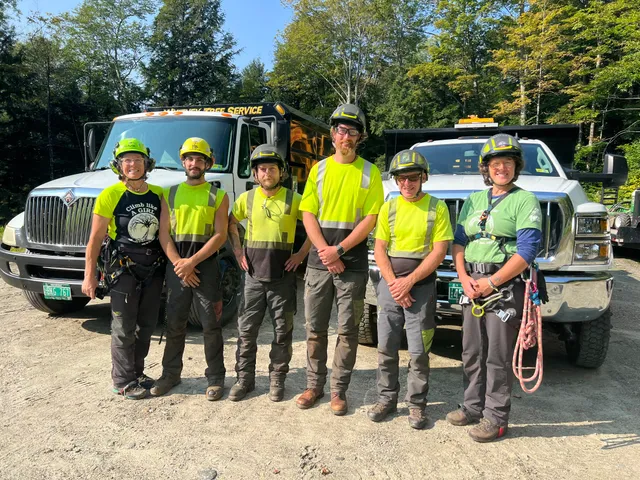 Whitney Tree Service LLC work photo