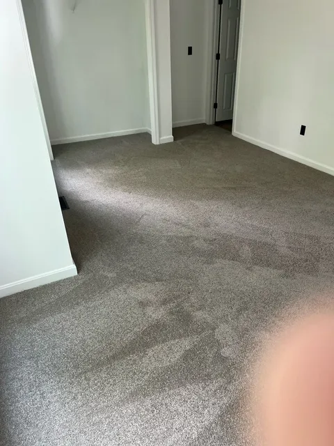 Exeter Carpet Company researched project photo