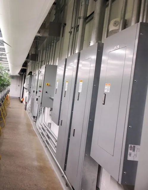 Contractors Electrical Plus | Westfield