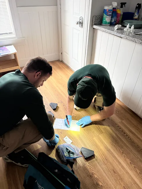 work photo from Google listing