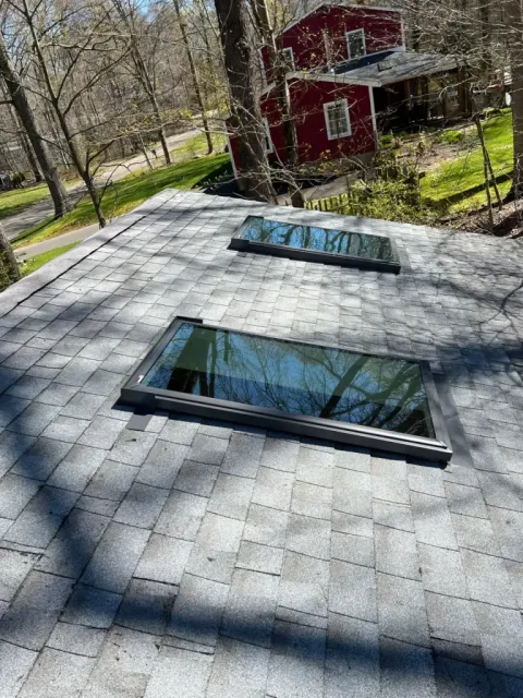 Gallery Image 7