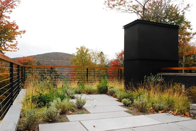 Apex Green Roofs researched project photo