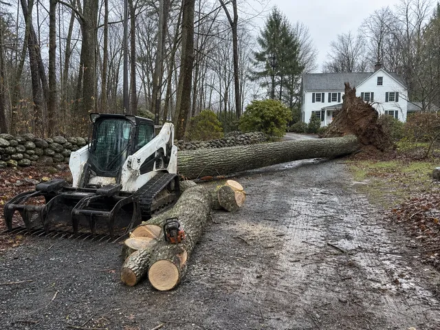 Storm response: a tree down across access, or being cleared off a structure. Hennessey Tree & Landscape.