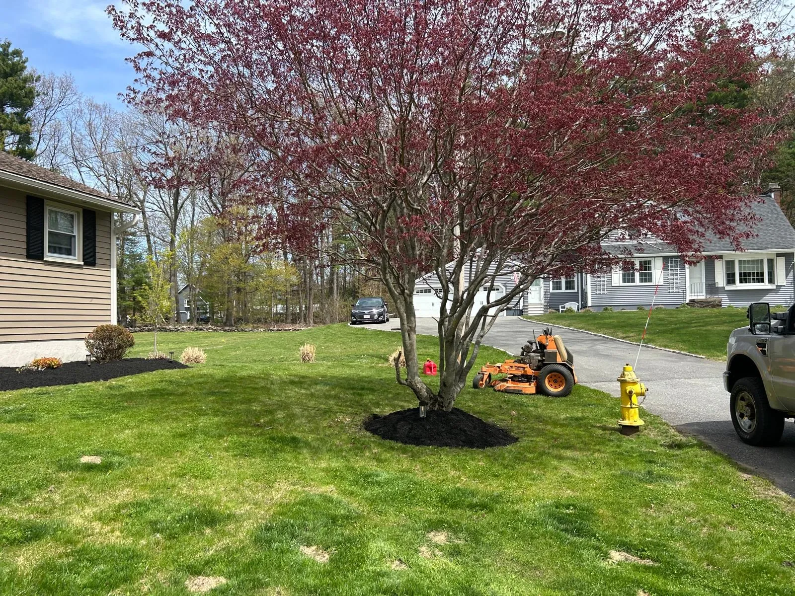 work photo from Google listing
