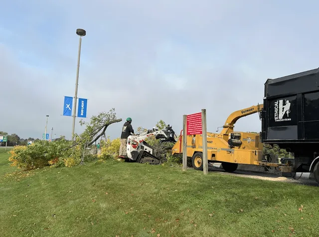 work photo from ethicaltreeservices.com