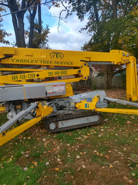 Yardley Tree Service work photo