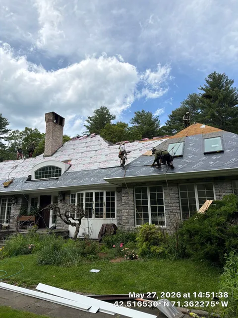 Mighty Dog Roofing