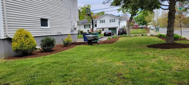 Roberto's Affordable Landscaping researched project photo