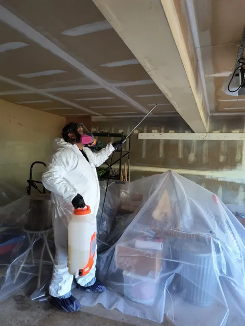 CT Mold Pros work photo