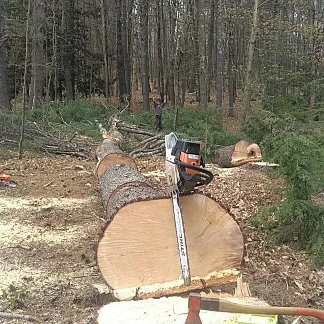 Keenan Tree Care work photo