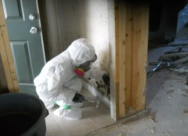 Water Damage Experts LLC work photo