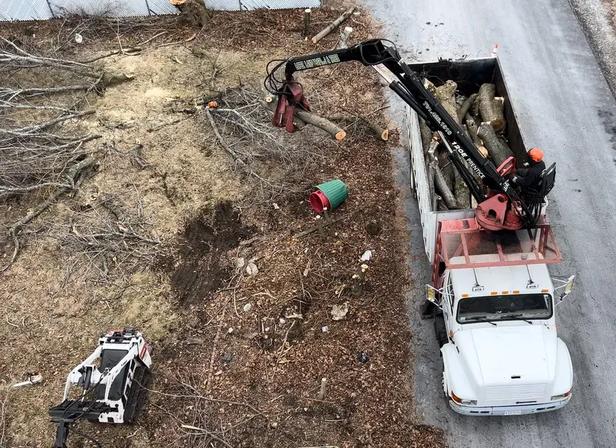 Service land Clearing overhead _jpeg copy_gallery