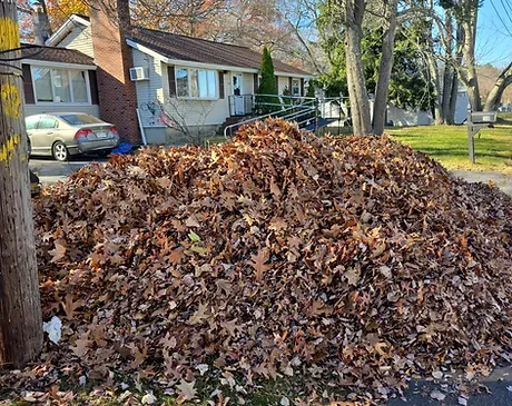 FALL CLEANING
