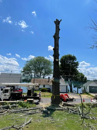 work photo from 12treecompany.com