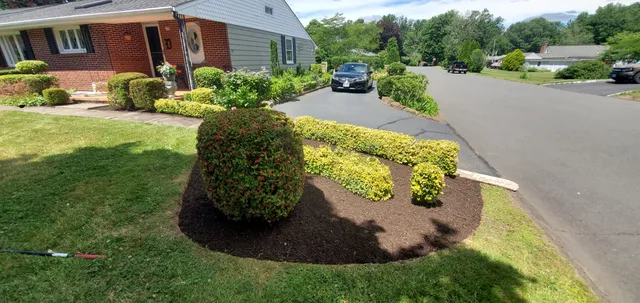 Emmanuel Adonai Lawn Care And Tree Services LLC work photo