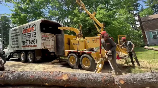 Cleds Tree Services work photo
