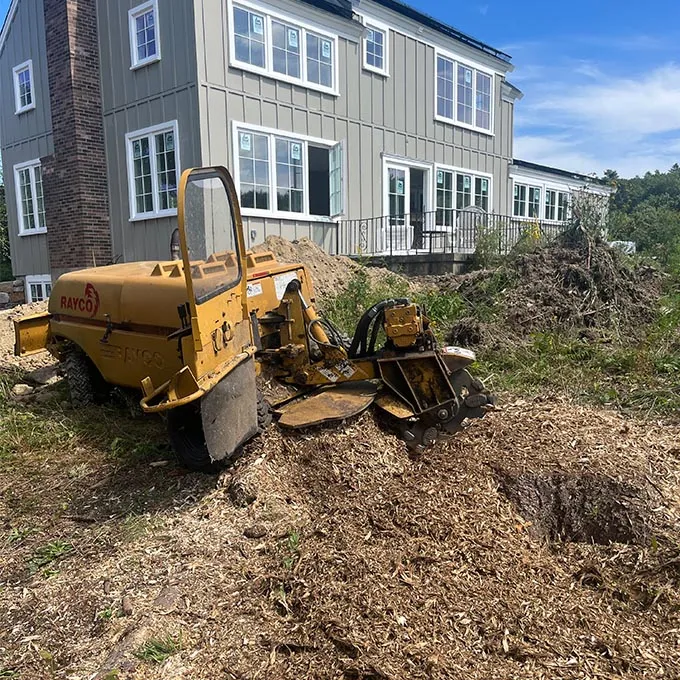 CJV Landscaping & Tree Removal Arborist Services