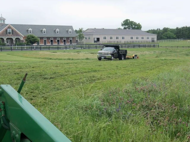 Shaheen Landscaping researched project photo