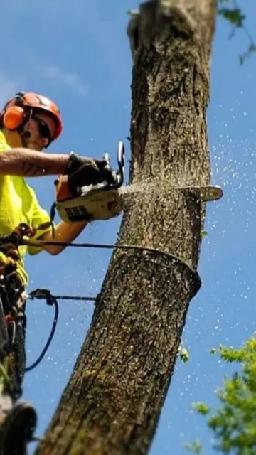 work photo from paverprofessionals.com