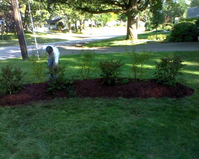 work photo from swainlandscaping.wordpress.com