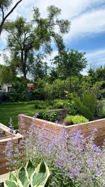 Vegetable Gardens