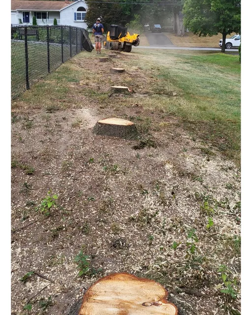 Big thanks to AJ for having us grind multiple stumps at her home in Biddeford. Last pic is basically what happens when you do it the right way: stumps removed, cleanup completed, then loam and grass seed prepped for action. Maineland Stump Grinding says bring on the rain, because that future lawn is already dreaming big.
#mainelandstumpgrinding #stumps #stumpsgone #stumpgrinding #stump #stumpremoval #stumpgrindingmaine #landscapemaine #residentialstumpgrinding #futurelawn #byebyestumps