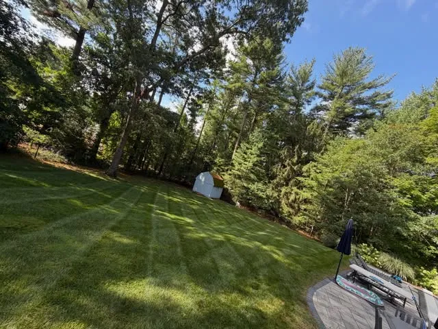 Rams Landscaping researched project photo