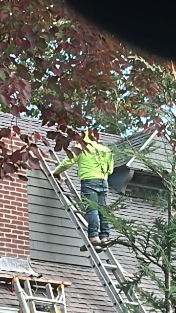 A man is standing on a ladder on top of a roof