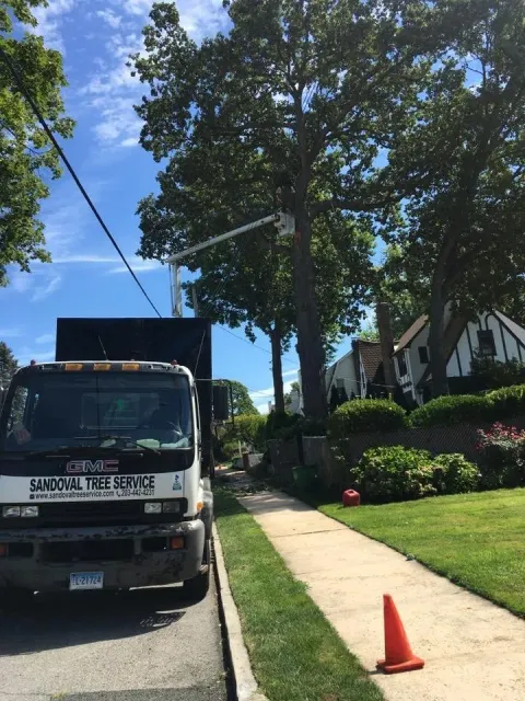 work photo from sandovaltreeservice.com