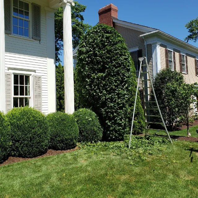work photo from silverhilllandscaping.com