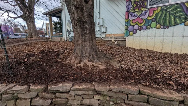 work photo from valleytreepreservation.com