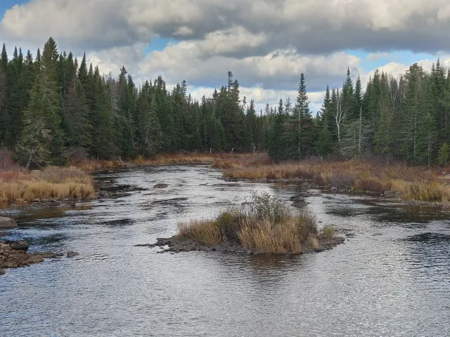 1101211406a_HDR.jpg