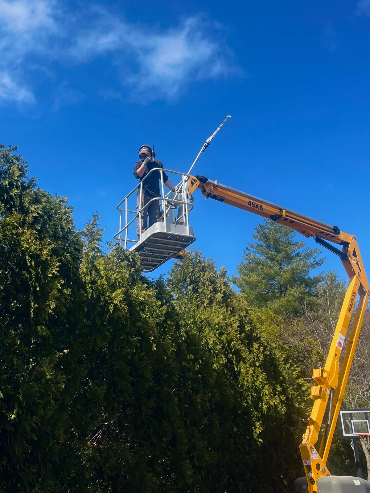 work photo from Google listing