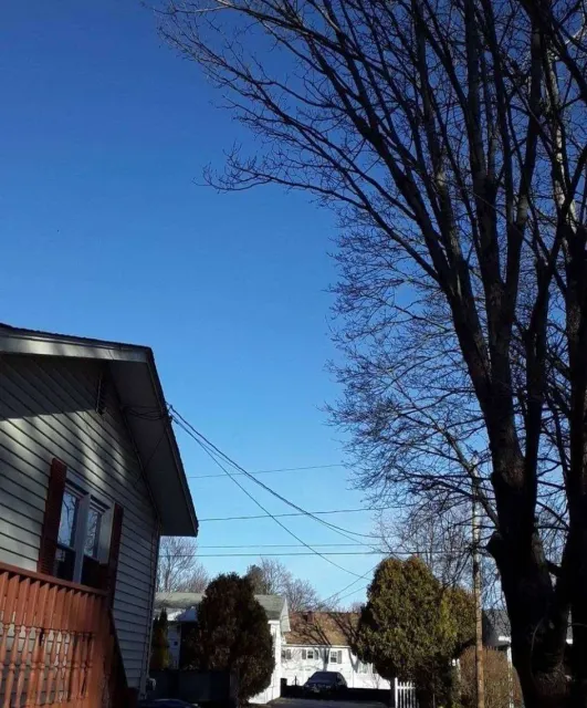 Blue sky with house and bare trees