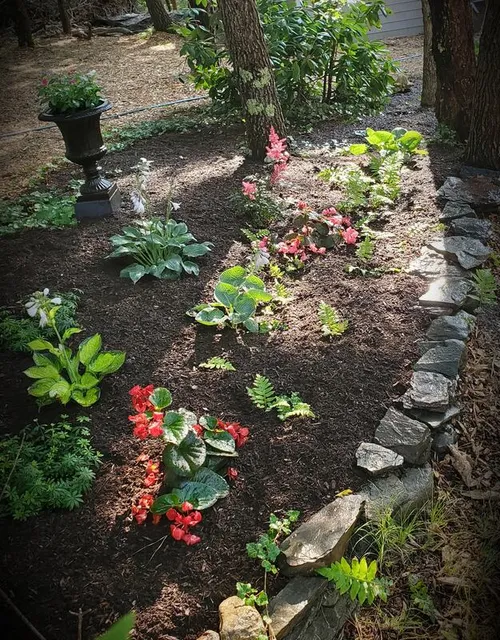 Outer Cape Gardens work photo