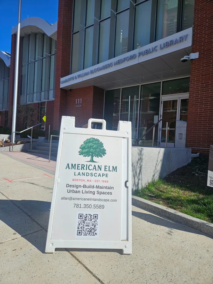 American Elm Landscape llc