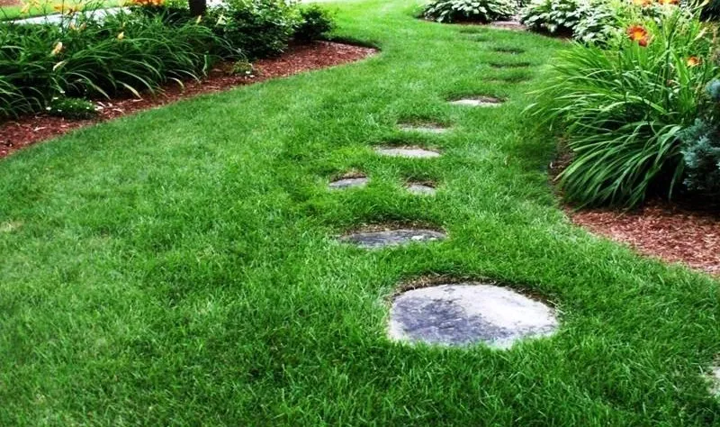 GreenAce Lawn Care, LLC