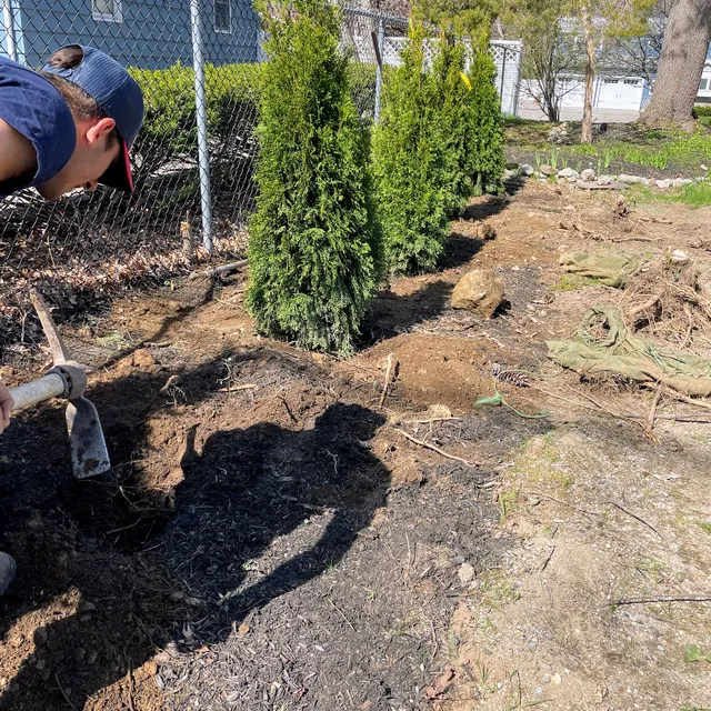 Cedars Landscaping