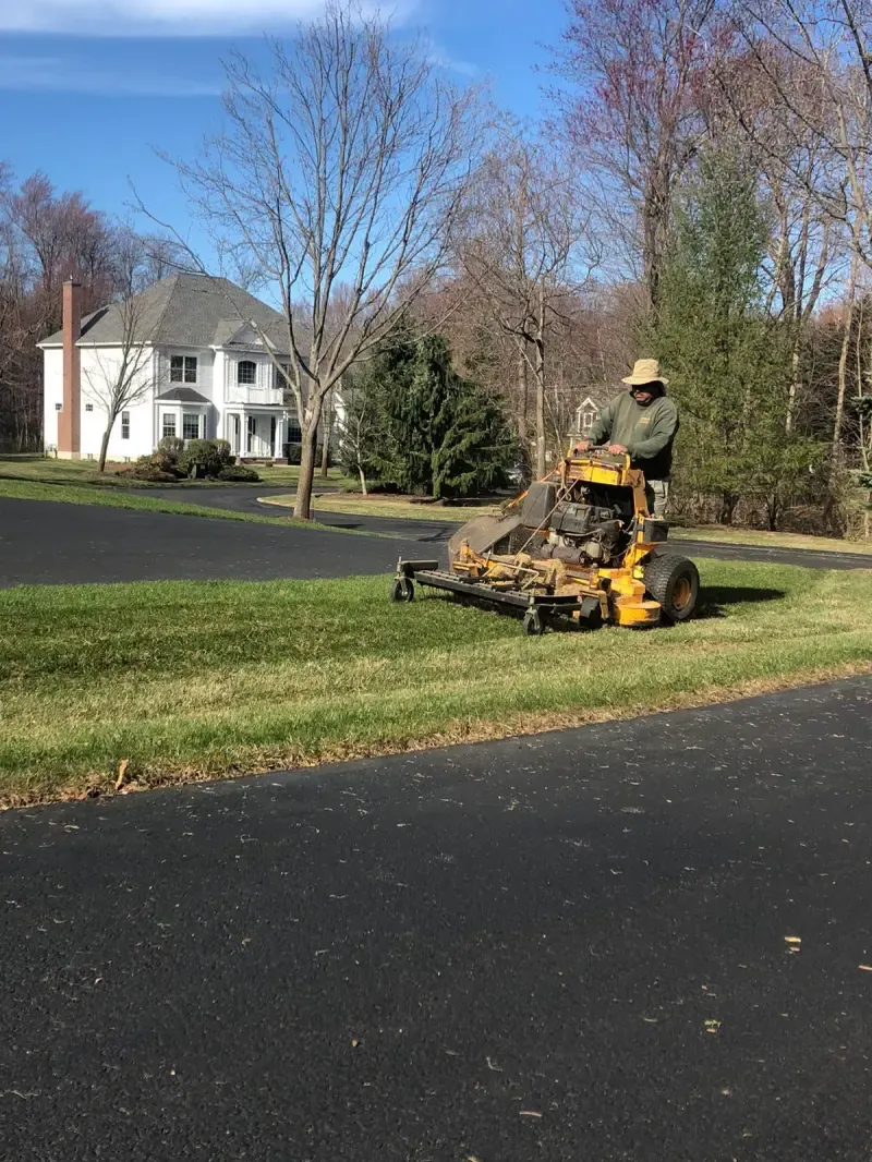 Professional lawn mowing service